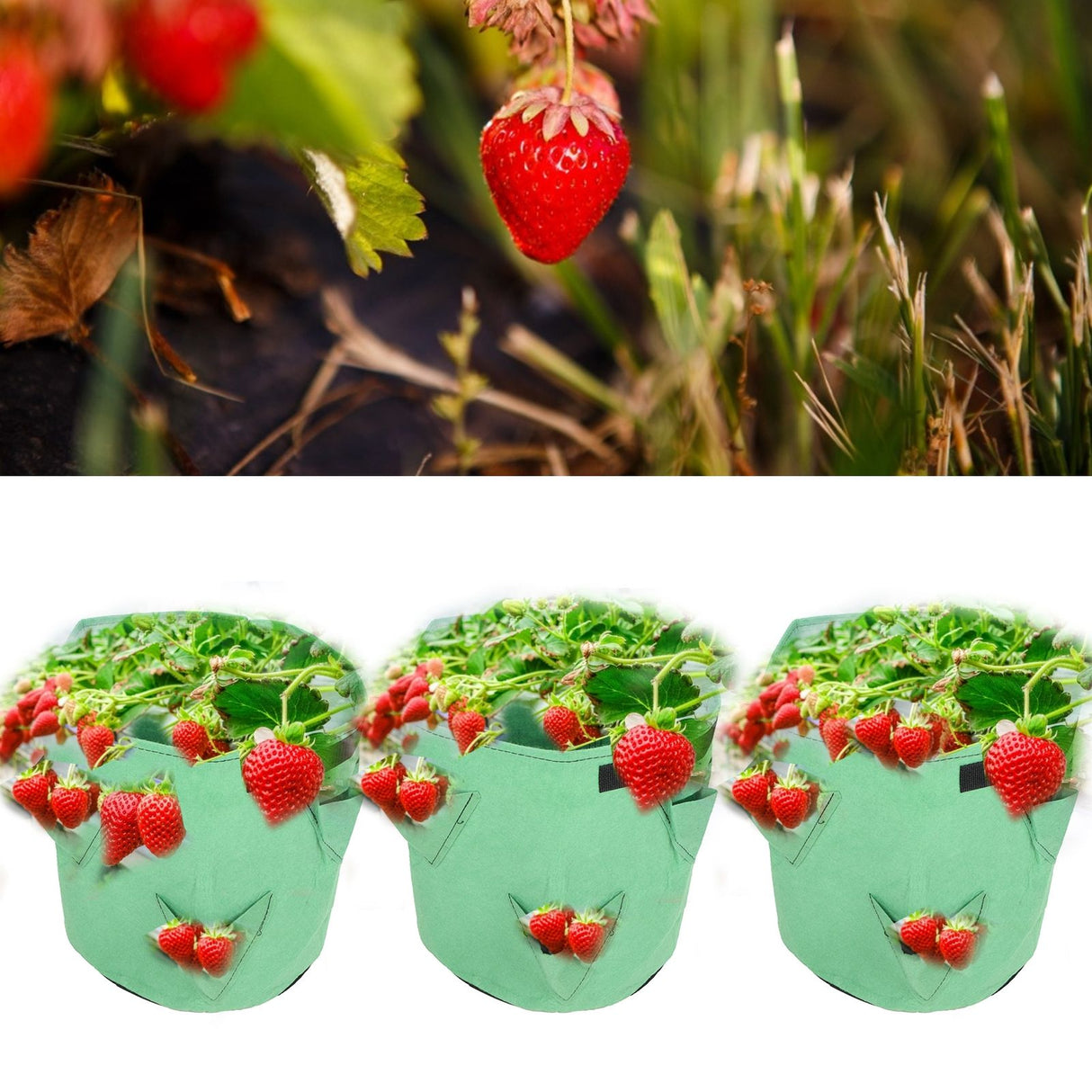 3Pcs 6-Holes Strawberry Planting Bag Felt Garden Plant Grow Bags 26L/7Gallon Green