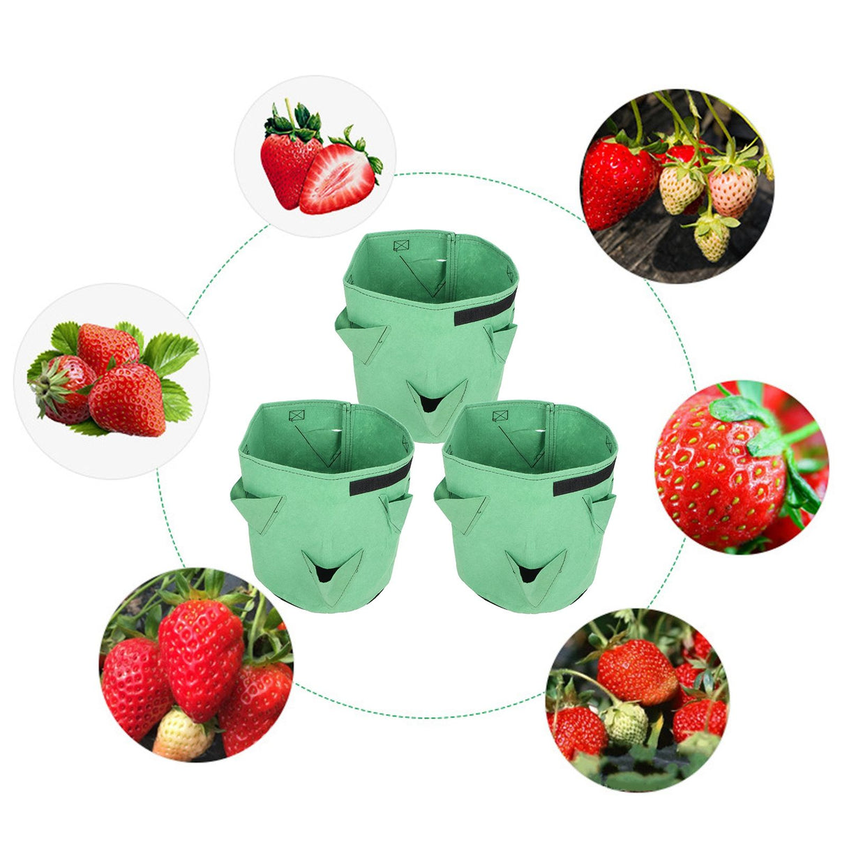 3Pcs 6-Holes Strawberry Planting Bag Felt Garden Plant Grow Bags 26L/7Gallon Green