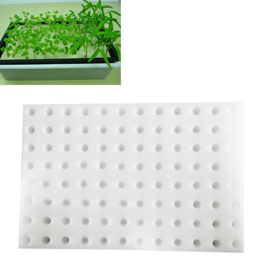 Seedling Sponge Garden Soilless Cultivation Hydroponic Nursery Sponges White 30x20x2.5cm