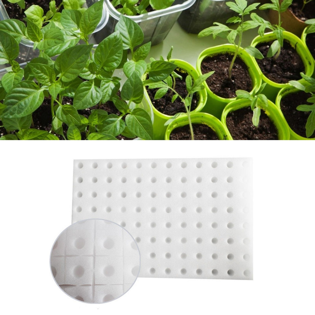 Seedling Sponge Garden Soilless Cultivation Hydroponic Nursery Sponges White 30x20x2.5cm