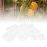 Reusable Plant Rooting Device High Pressure Propagation Ball Box Plant Grafting BallTransparent S 10PCS