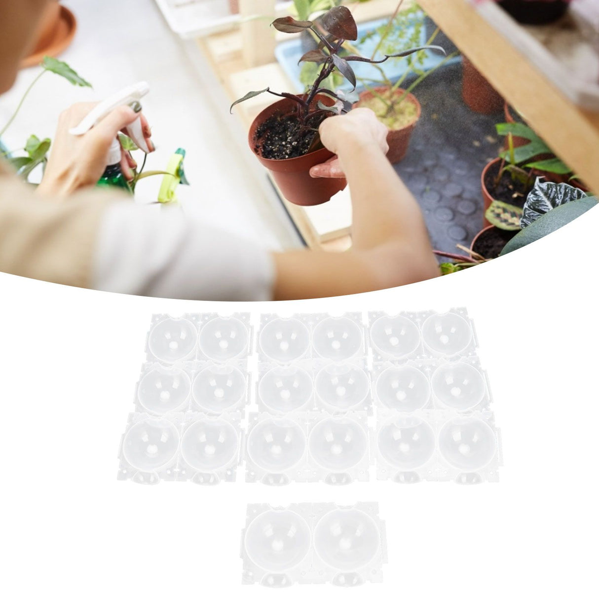 Reusable Plant Rooting Device High Pressure Propagation Ball Box Plant Grafting BallTransparent S 10PCS