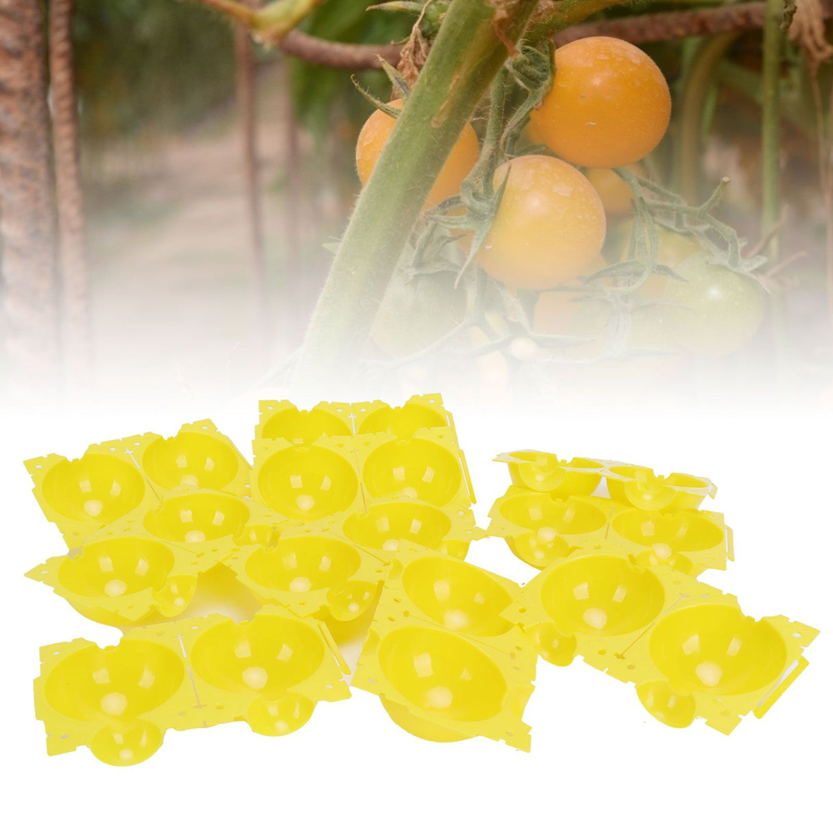 Reusable Plant Rooting Device High Pressure Propagation Ball Box Plant Grafting BallYellow S 10PCS