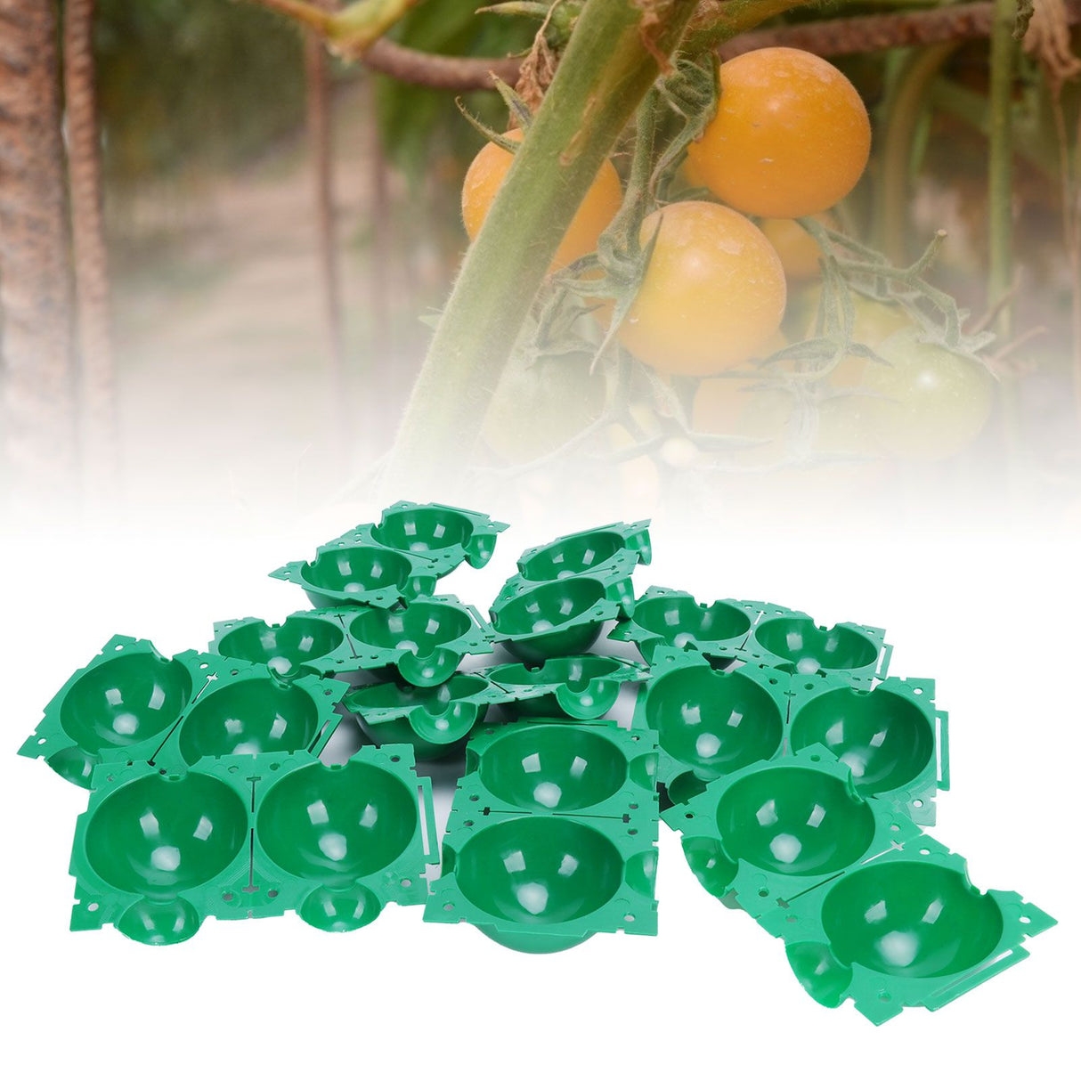 Reusable Plant Rooting Device High Pressure Propagation Ball Box Plant Grafting BallGreen S 10PCS
