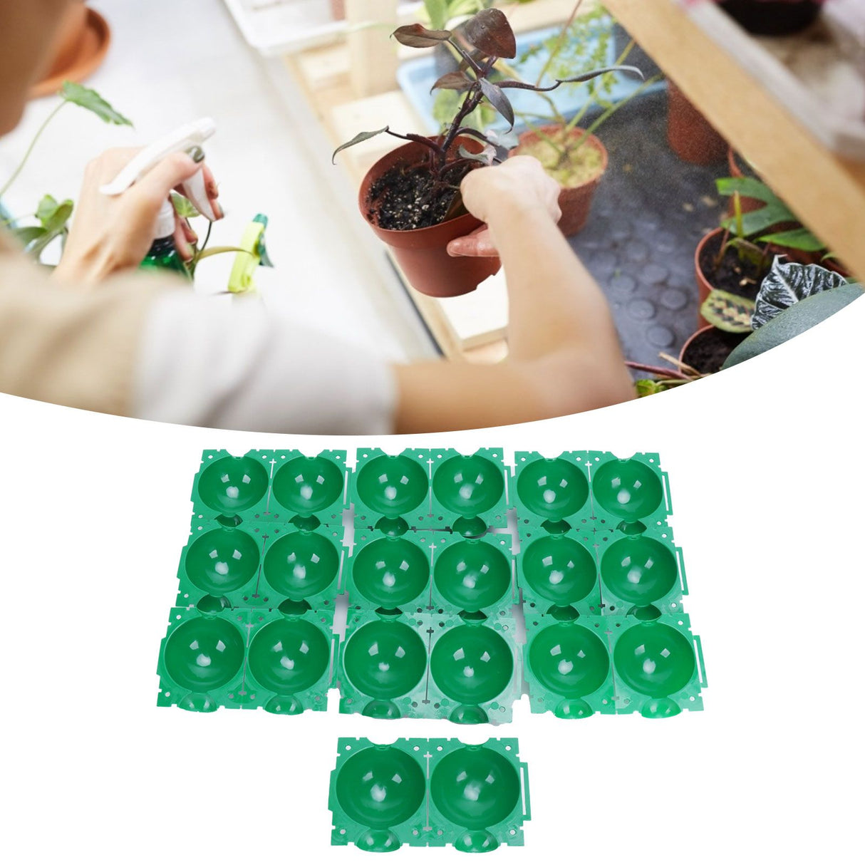 Reusable Plant Rooting Device High Pressure Propagation Ball Box Plant Grafting BallGreen S 10PCS
