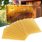 10Pcs Beekeeping Beeswax Foundation Beehive Wax Frame for Furniture Floor Polishing
