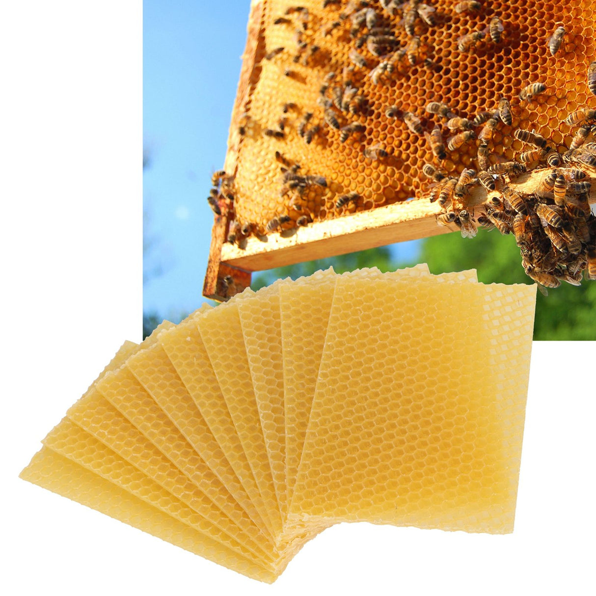 10Pcs Beekeeping Beeswax Foundation Beehive Wax Frame for Furniture Floor Polishing