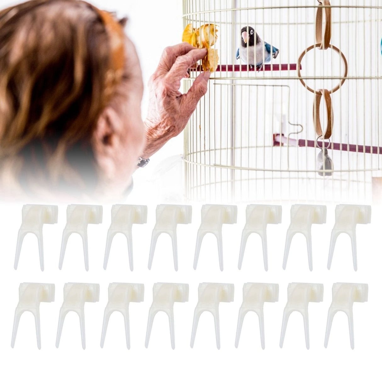 20Pcs Plastic Bird Fruit Fork Lightweight Pet Parrots Toy Bird Supplies Convenient Feeder