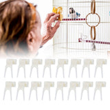 20Pcs Plastic Bird Fruit Fork Lightweight Pet Parrots Toy Bird Supplies Convenient Feeder - Extra Image