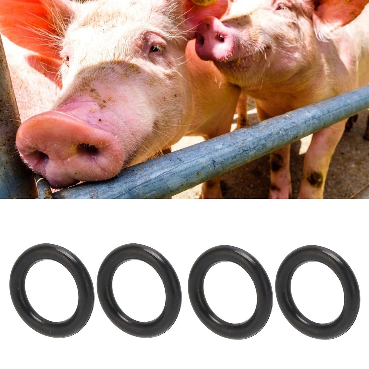 100PCS Pig Drinker Accessories Plastic Rings Drinker Installation Washer for Poultry Feeding