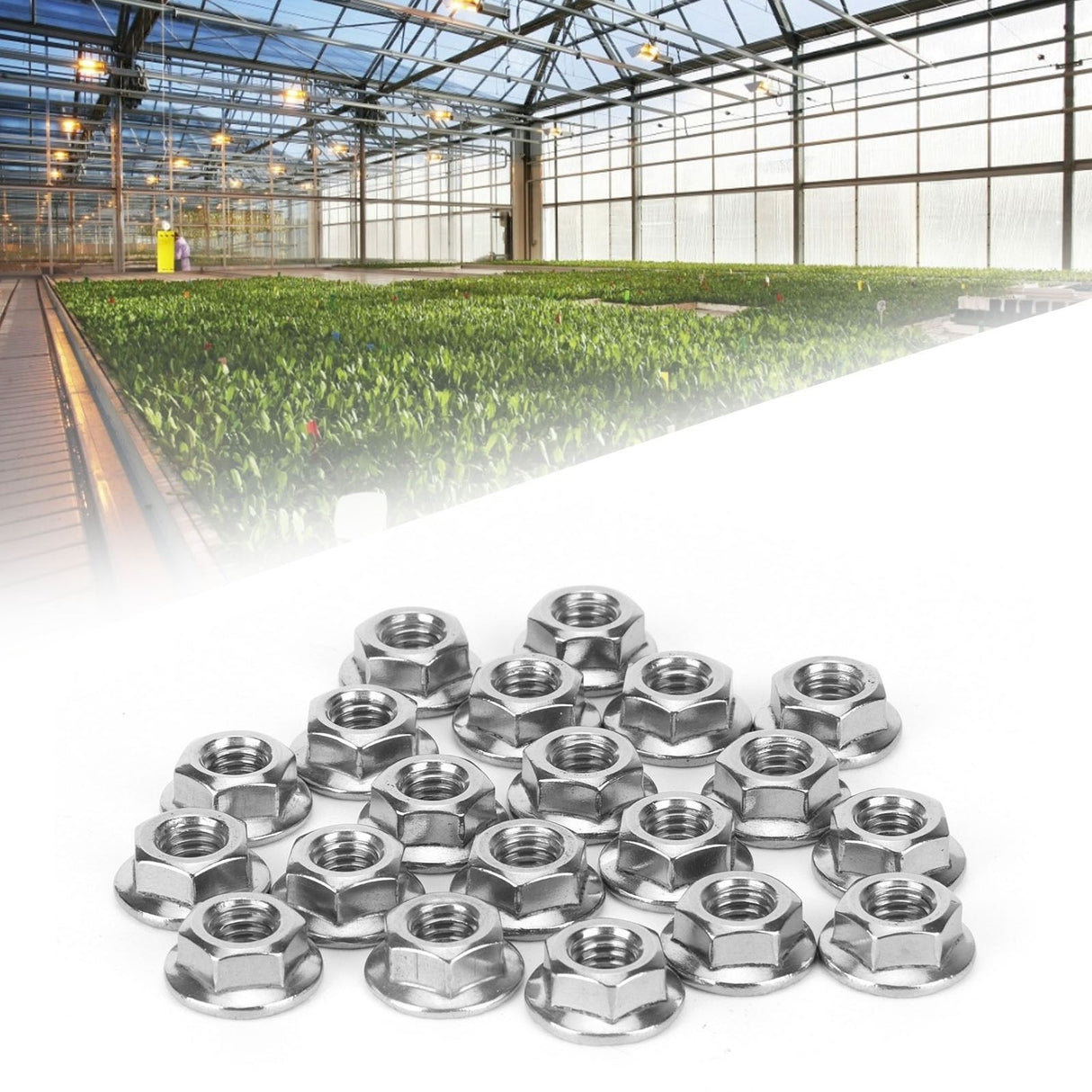25Pcs Flange Nut Corrosion Resistant Stainless Steel Nuts Greenhouse Supplies AccessoriesM6