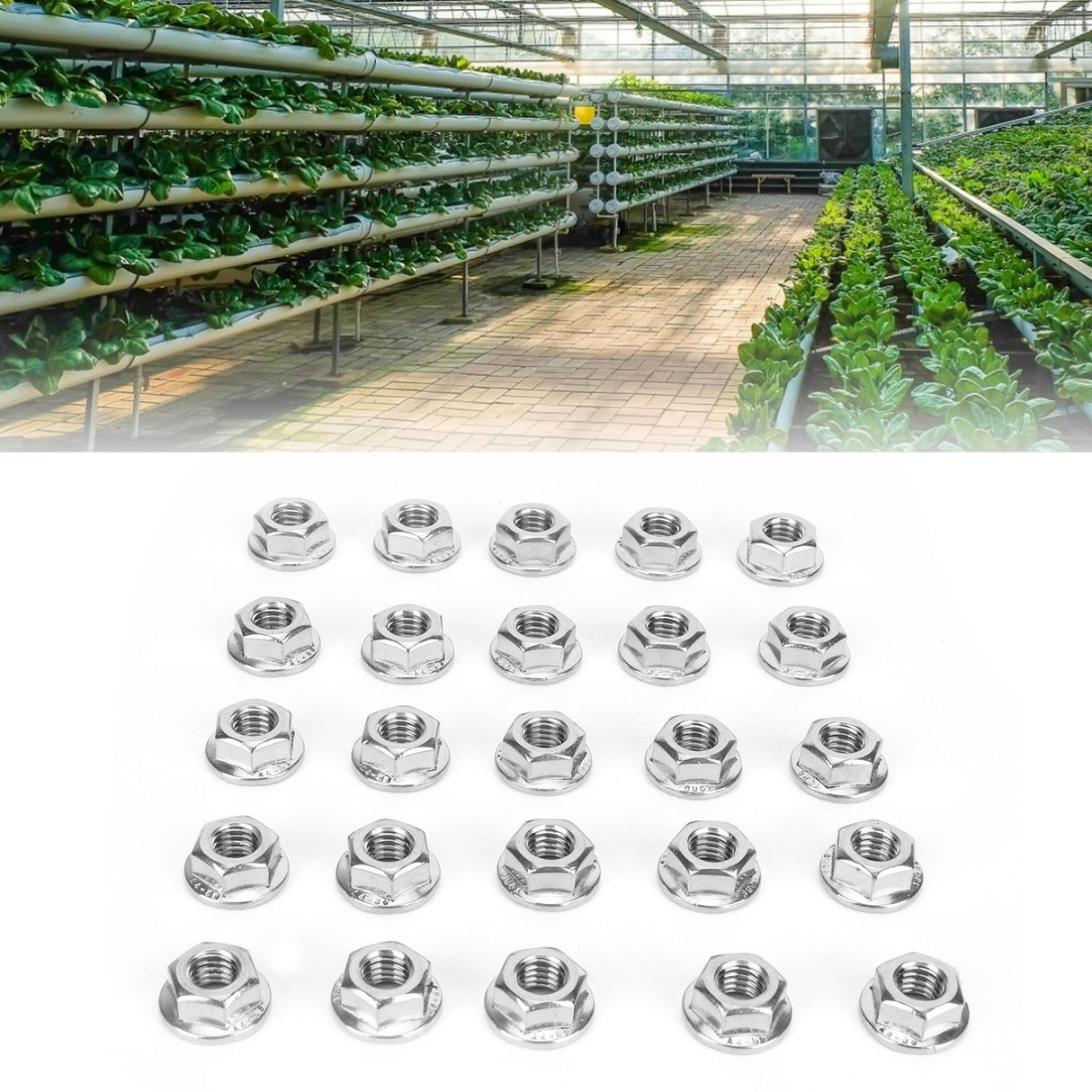 25Pcs Flange Nut Corrosion Resistant Stainless Steel Nuts Greenhouse Supplies AccessoriesM8