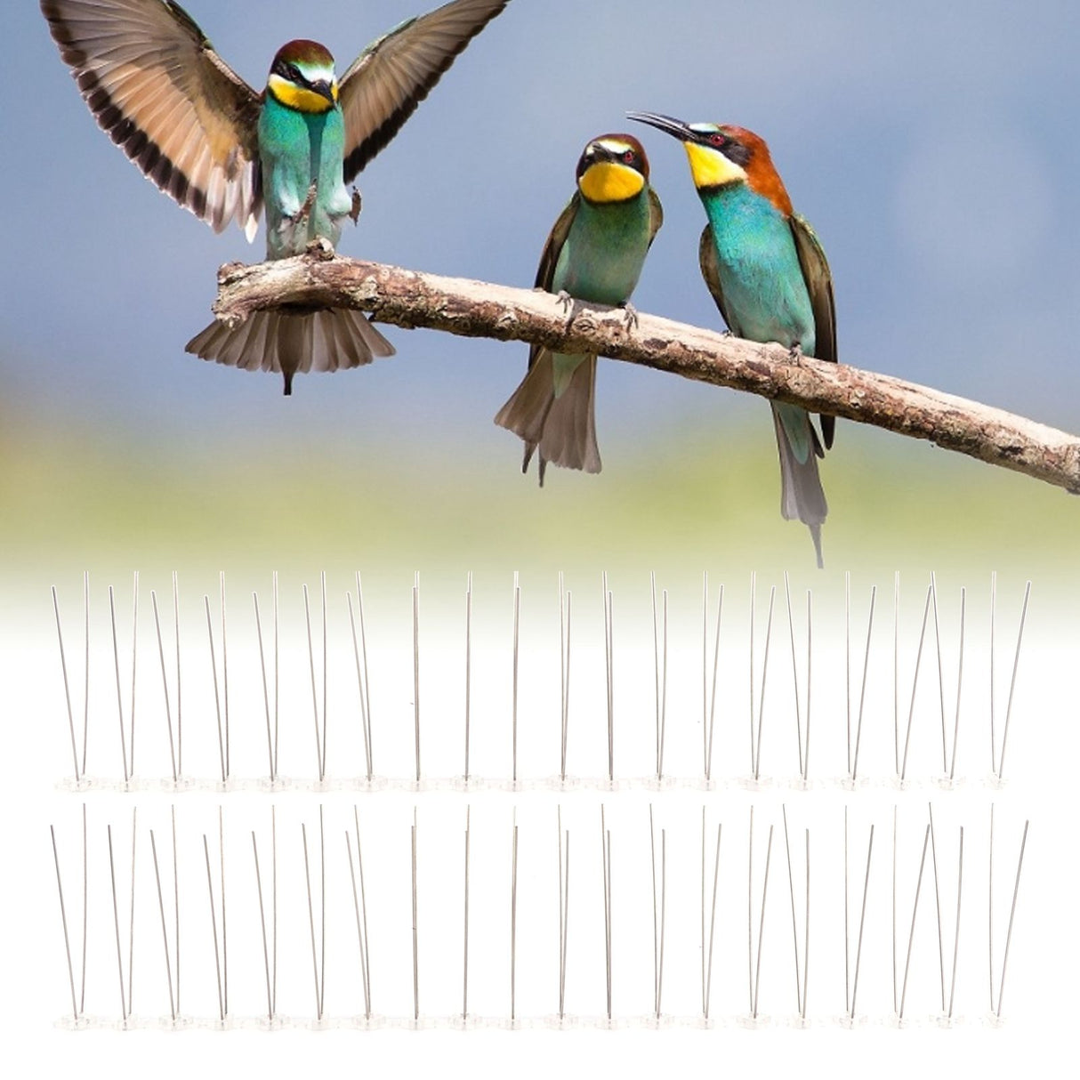 6Pcs Anti Bird Spike Stainless Steel Outdoor Birds Pigeons Repellent Tool Fence Wall Accessory