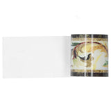 Wallpaper Border Trim Self Adhesive Sticker Decor for Living Room Kitchen Bathroom 5x500cm