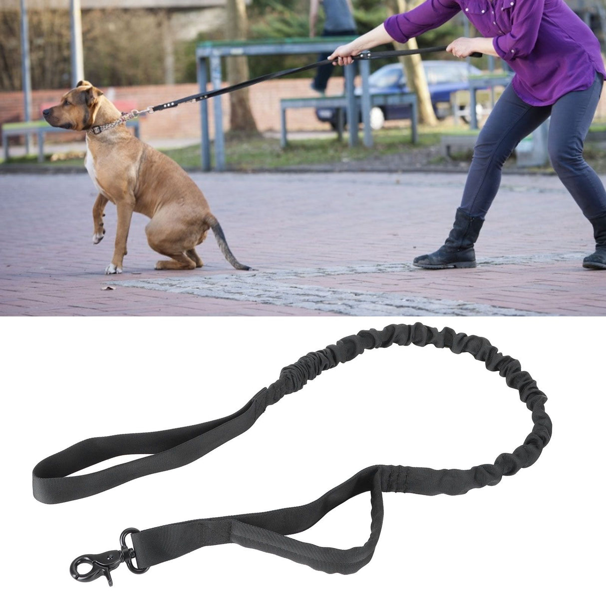 Dog Leash Telescopic Waterproof Nylon Traction Rope Outdoor Training Pulling Strap
