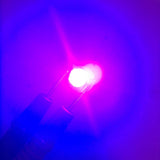 25Pcs 5V LED Chips 200LM 1W High Power LED Lamp Beads for DIY Lighting FixturesUV Light 395‑400NM