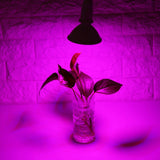 24W 200-LED Plant Grow Light E27 Hydroponic Flower Veg Growing Lamps 85~265V
