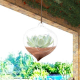 Flowerpot Succulent Plant Container Hanging Glass Vase Home Garden Decor - Front View