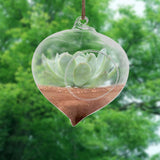 Flowerpot Succulent Plant Container Hanging Glass Vase Home Garden Decor