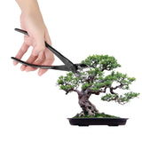 205mm Professional Garden Branch Cutter Beginner Bonsai Tools Zinc Alloy Round Edge