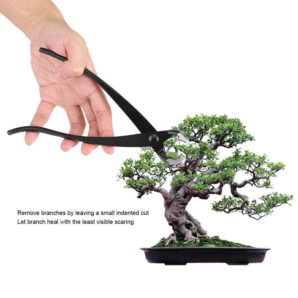 204mm 8inch Zinc Alloy Knob Branch Cutter with Round Edge Gardening Bonsai Tools