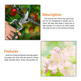 1Pc Sturdy Fruit Tree Bonsai Gardening Pruning Shear Pruner Garden Scissors Grafting Tools