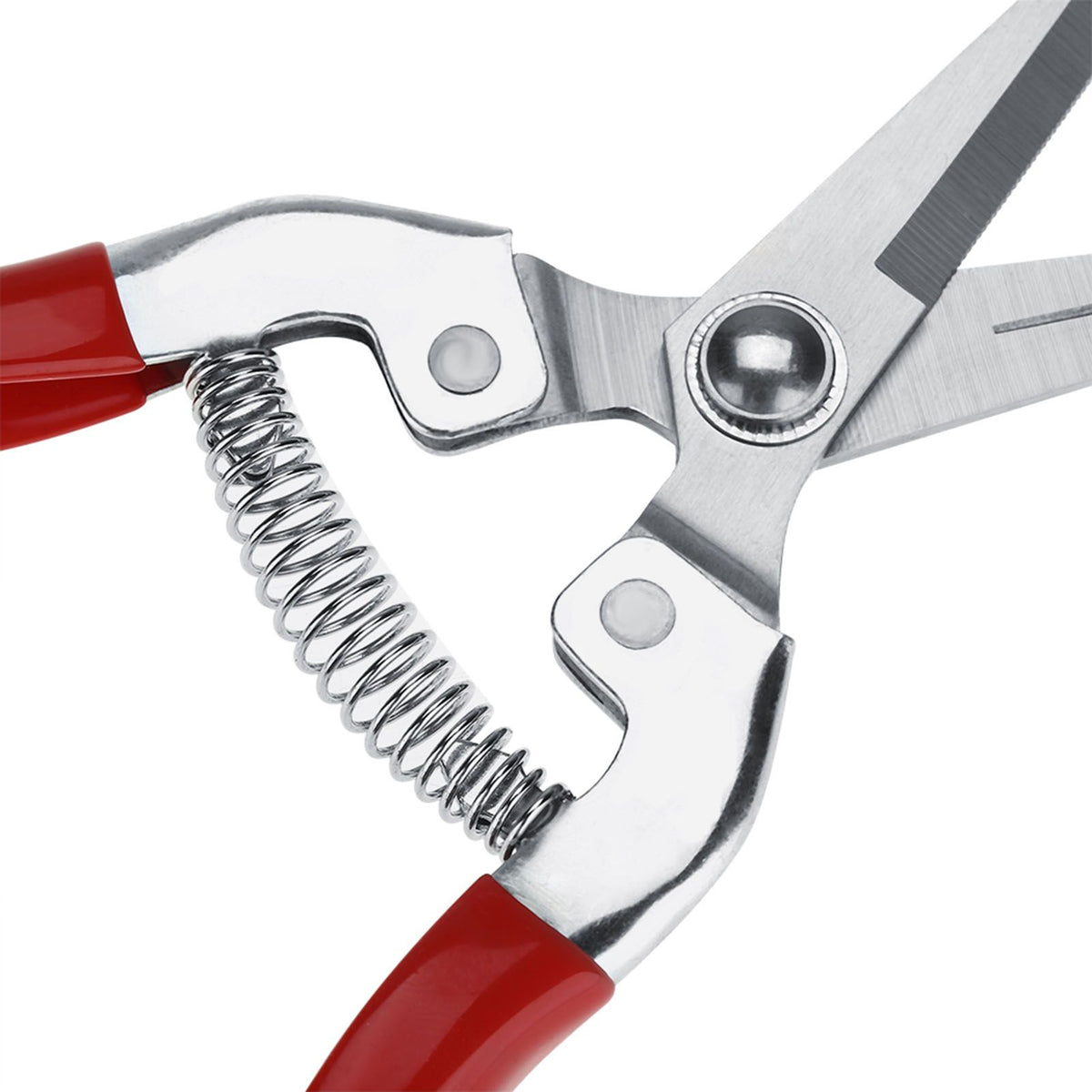 1Pc Sturdy Fruit Tree Bonsai Gardening Pruning Shear Garden Scissors Pruner Tool Straight Blade