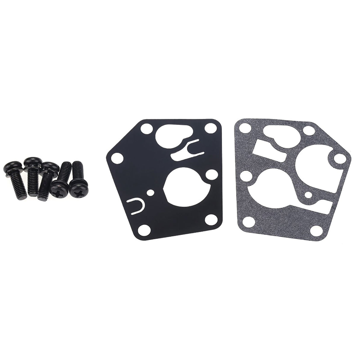 Carburetor Carb with Installing Hardware for 499809 498809A 494406