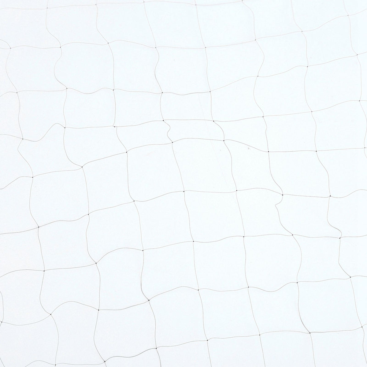 Black Anti Bird Mist Net Mesh Prevent Huting Catching Fruit Crop Garden 8 X 3m