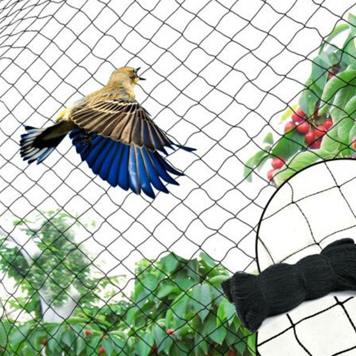 Black Anti Bird Mist Net Mesh Prevent Huting Catching Fruit Crop Garden 15 x 3m