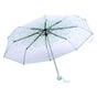1PC Transparent Folding Umbrella Fashionable Princess Umbrella Cherry Blossom # Light Green