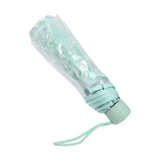 1PC Transparent Folding Umbrella Fashionable Princess Umbrella Cherry Blossom # Light Green