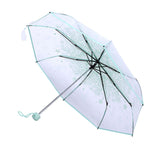 1PC Transparent Folding Umbrella Fashionable Princess Umbrella Cherry Blossom # Light Green