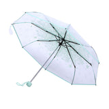 1PC Transparent Folding Umbrella Fashionable Princess Umbrella Cherry Blossom # Light Green - Extra Image