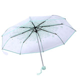 1PC Transparent Folding Umbrella Fashionable Princess Umbrella Cherry Blossom # Light Green - Extra Image