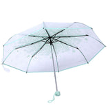1PC Transparent Folding Umbrella Fashionable Princess Umbrella Cherry Blossom # Light Green - Extra Image