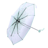 1PC Transparent Folding Umbrella Fashionable Princess Umbrella Cherry Blossom # Light Green
