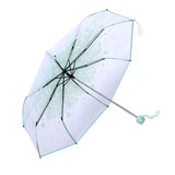 1PC Transparent Folding Umbrella Fashionable Princess Umbrella Cherry Blossom # Light Green