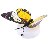 Colorful Changing Butterfly LED Night Light Lamp Home Room Desk Wall Decor AB - Rear View