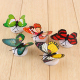 Colorful Changing Butterfly LED Night Light Lamp Home Room Desk Wall Decor AB - Extra Image