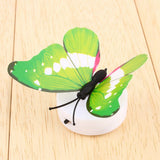 Colorful Changing Butterfly LED Night Light Lamp Home Room Desk Wall Decor AB - Extra Image