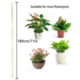 Planter Flower Pot Hanging Rope Basket for Indoor