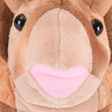 Triceratops Plush Slippers Winter Autumn and Winter Cartoon Men and Women Indoor Cotton Slippers