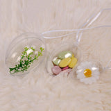 10Pcs Transparent Hollow Oval Ornaments Balls Plastic Egg Shaped Balls Preserved Flower Easter Decoration - Top-Down View