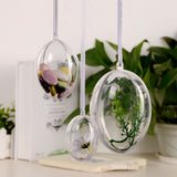 10Pcs Transparent Hollow Oval Ornaments Balls Plastic Egg Shaped Balls Preserved Flower Easter Decoration - Rear View