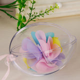 10Pcs Transparent Hollow Oval Ornaments Balls Plastic Egg Shaped Balls Preserved Flower Easter Decoration - Close-Up Angle