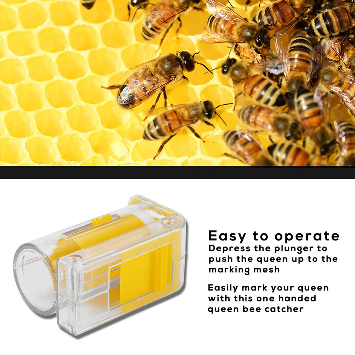 Bee Queen Marking Catcher Plastic One Handed Marker Bottle Plunger Plush Beekeeper Tool