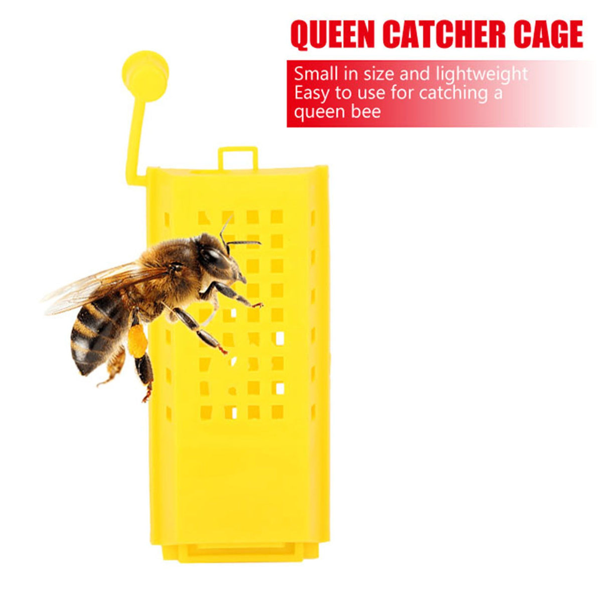 10Pcs Plastic Queen Bee Cages Transporting Catcher Beekeeper Beekeeping Tool