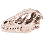 Resin Dinosaur Skull Model Simulated Animal Skeleton Home Office Decor Craft Teaching Prop - Front View