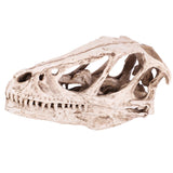 Resin Dinosaur Skull Model Simulated Animal Skeleton Home Office Decor Craft Teaching Prop - Side View